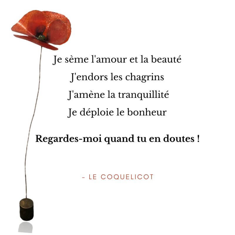 Signification, poème du coquelicot en français - Verpal Créateur